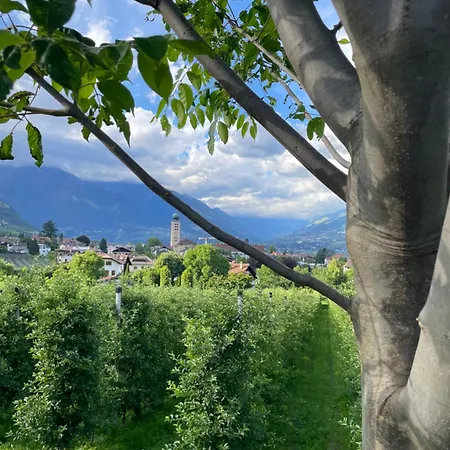 Pschoalhof Farm stay *
