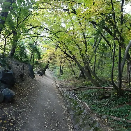 Pschoalhof *
